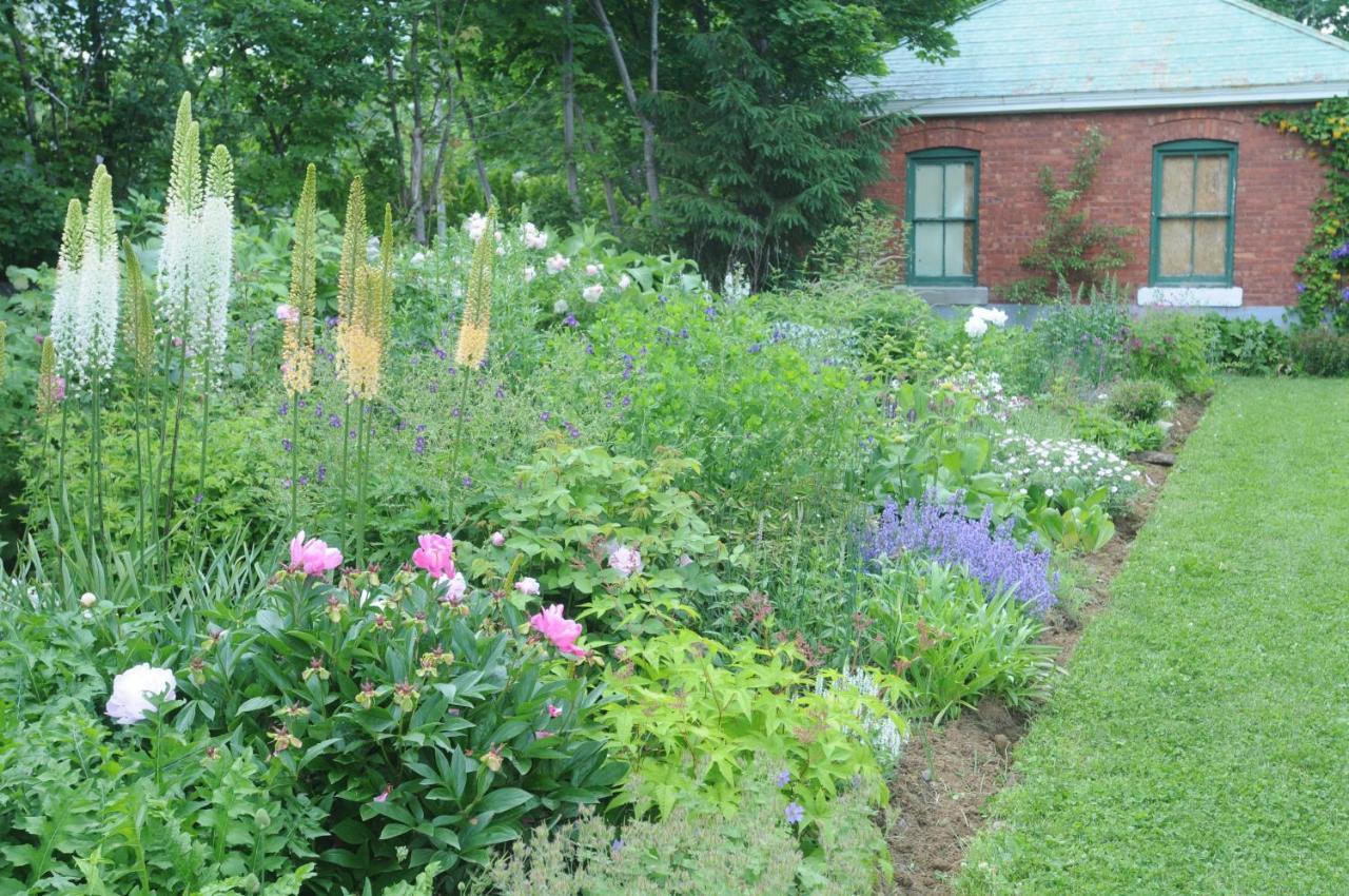 Napier House Lejlighed Campbellton Eksteriør billede